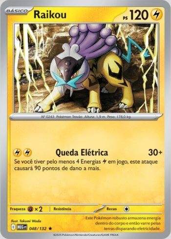 Raikou #048/132